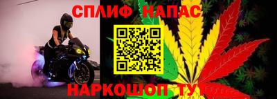 прущие крисы Гусиноозёрск