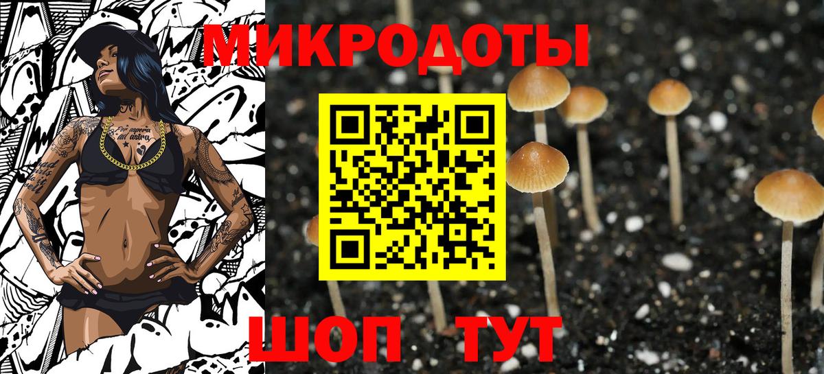 магазин продажи наркотиков  Вход с VPN  Нерюнгри  Псилоцибиновые грибы прущие грибы 